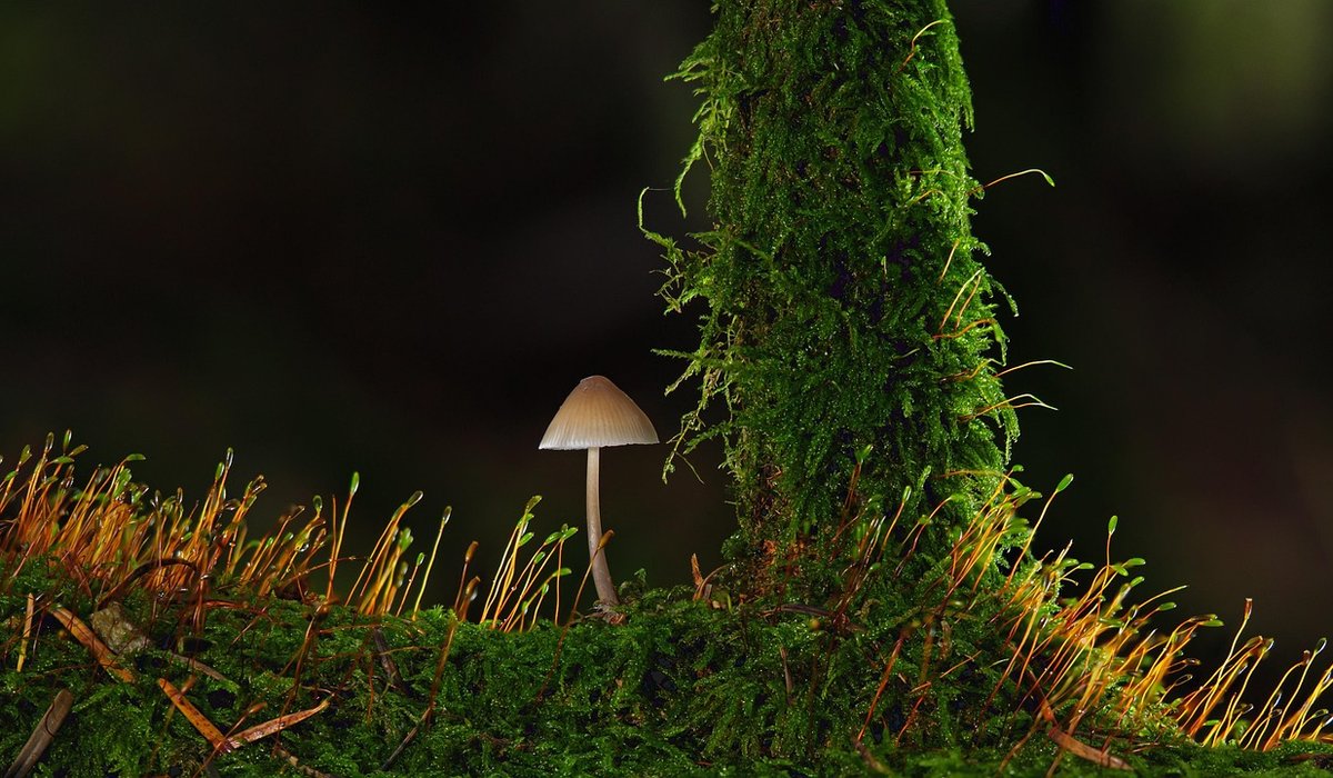 Setting Realistic Sales Targets for Steady Growth
